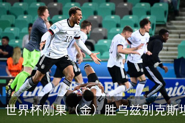 世界杯刚果（金）胜乌兹别克斯坦 韩国无缘32强