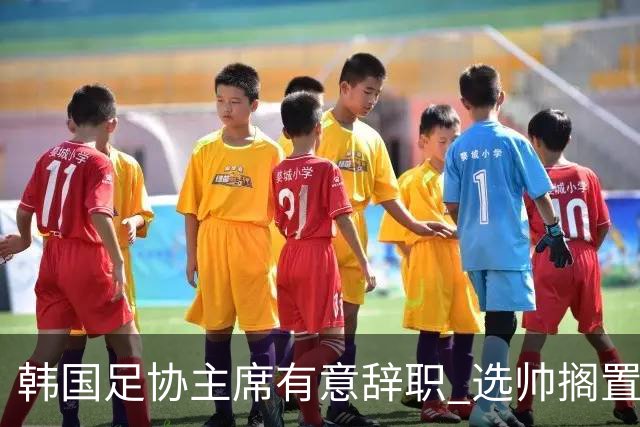 韩国足协主席有意辞职 选帅搁置备战亚洲杯亦受阻