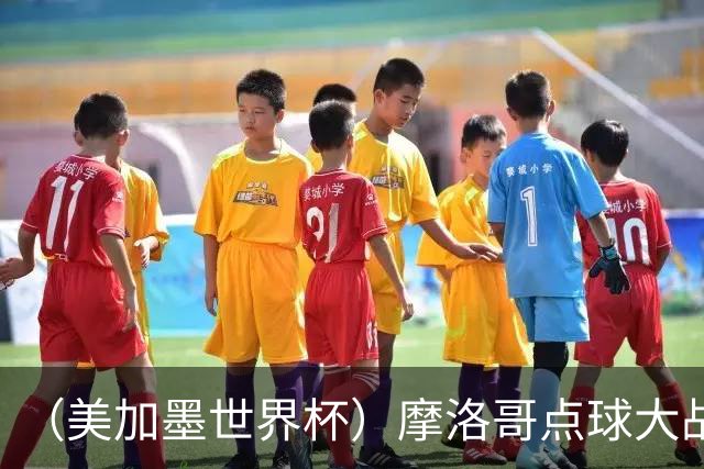 （美加墨世界杯）摩洛哥点球大战胜荷兰 惊险晋级16强